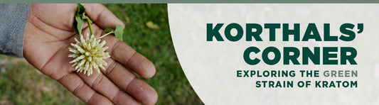 Korthals' Corner: Exploring the Green Strain of Kratom