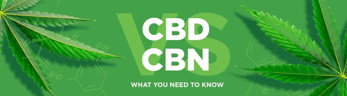 CBN vs CBD: Cannabinoid Spotlight - What You Need to Know? - Shop CBD Kratom