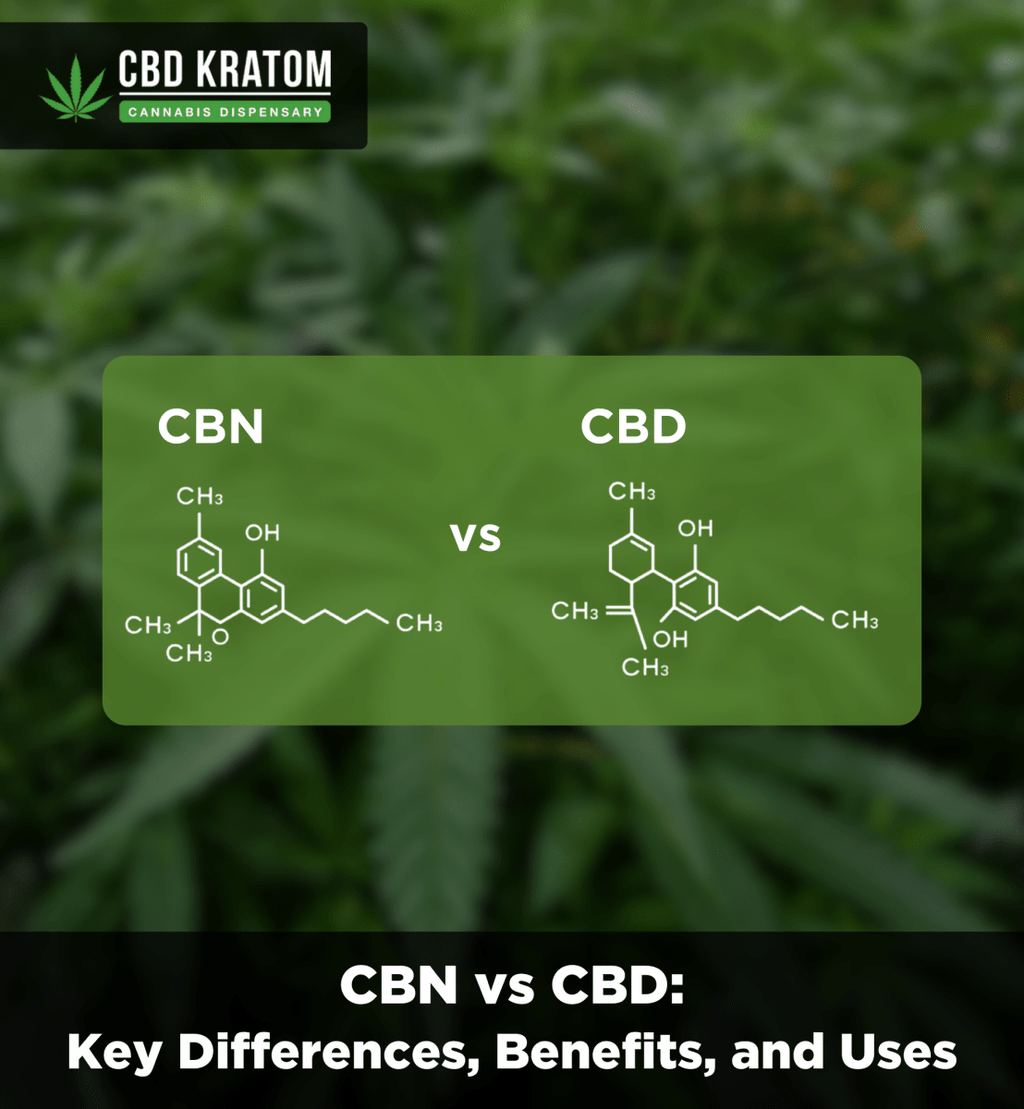 CBN vs. CBD: Differences, Benefits, and Best Uses Explained