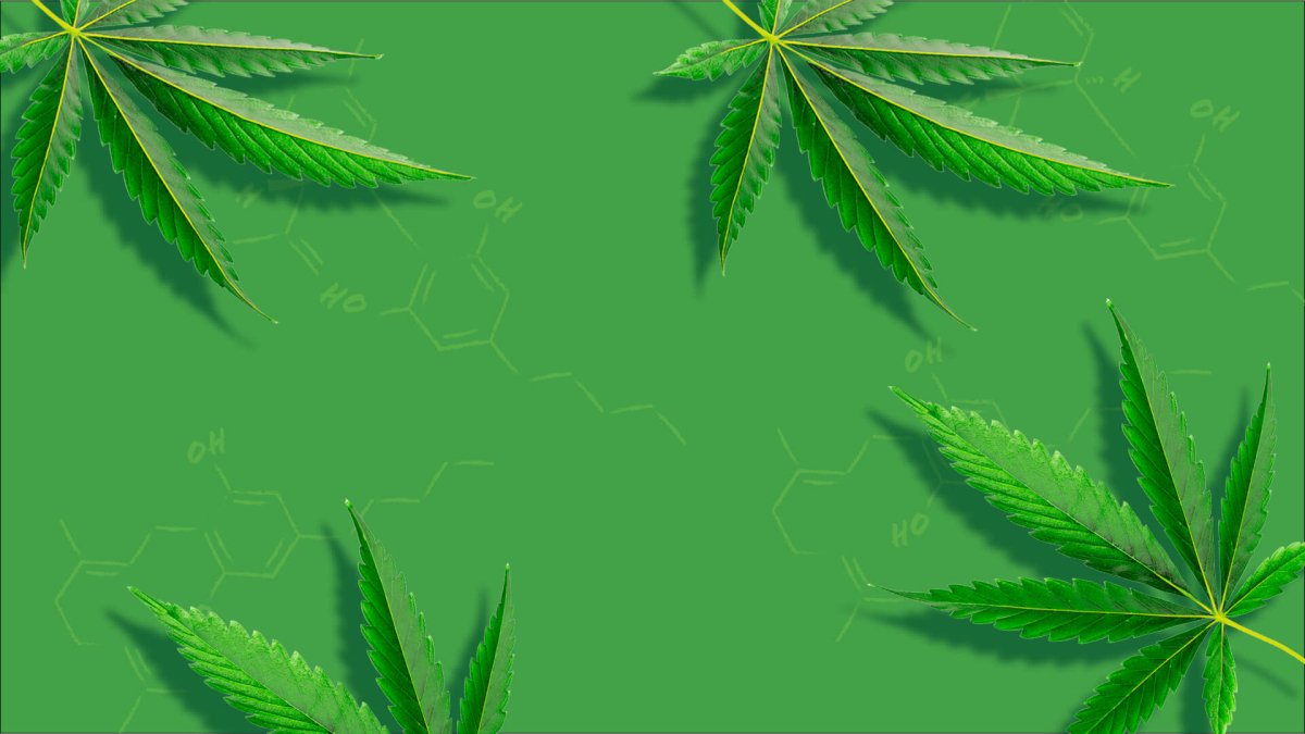 Comparing Cannabinoids: CBN vs CBC - Understanding Their Benefits, Similarities, and Differences - Shop CBD Kratom