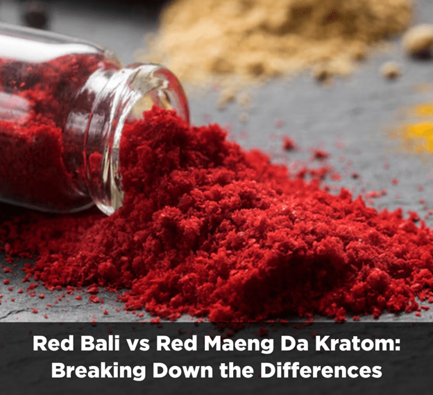 Red Bali vs Red Maeng Da Kratom - Shop CBD Kratom