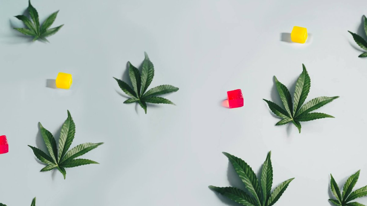 The Ultimate Guide to Delta-9 THC Gummies: What You Need to Know - Shop CBD Kratom