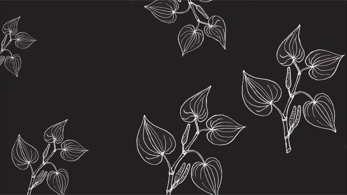 Top 5 FAQs- Kava - Shop CBD Kratom