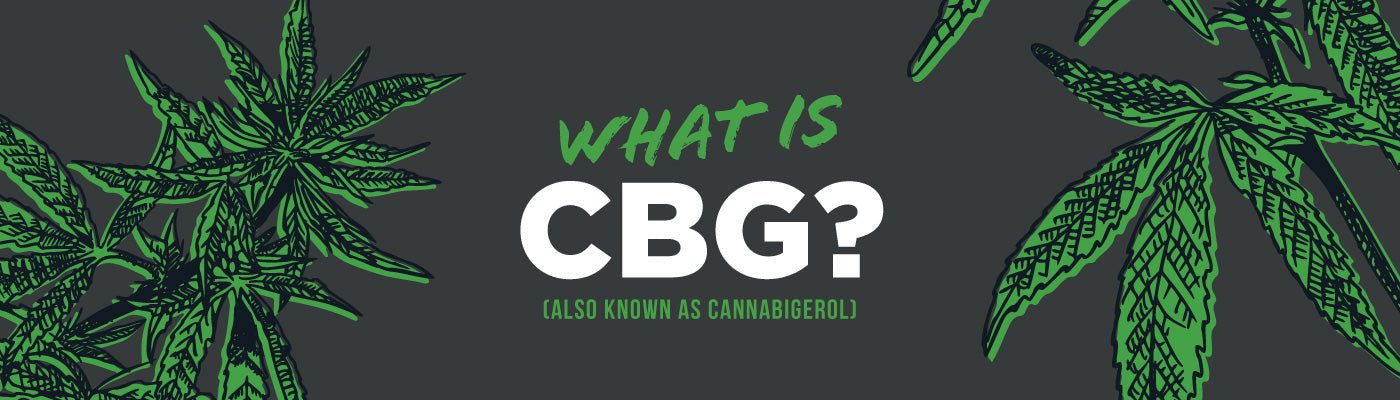 What Is CBG? - Shop CBD Kratom