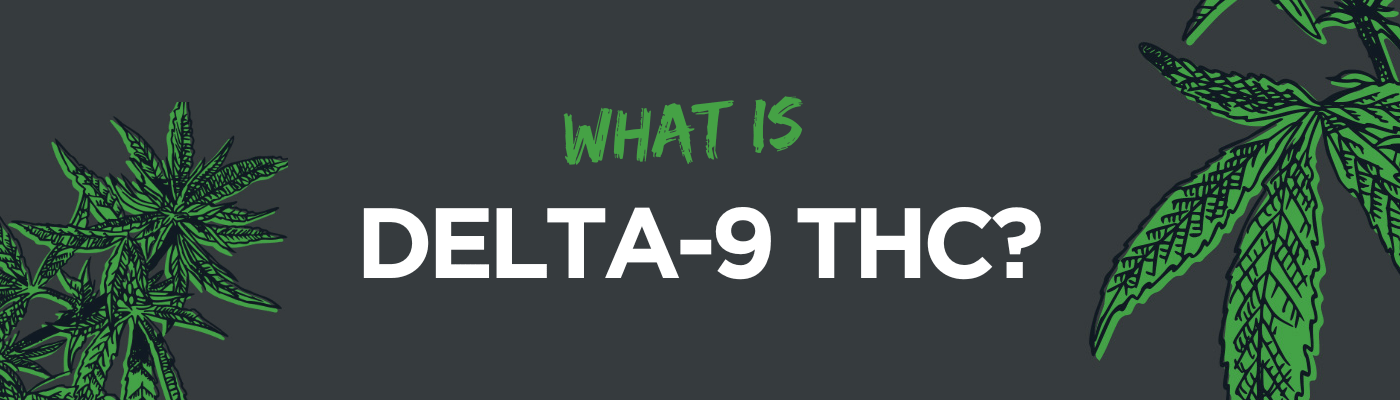 What is Delta-9 THC? - Shop CBD Kratom