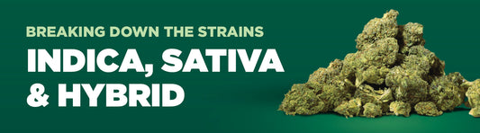 Breaking Down the Cannabis Strains: Exploring Indica, Sativa, and Hybrids