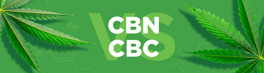 Comparing Cannabinoids: CBN vs CBC - Understanding Their Benefits, Similarities, and Differences