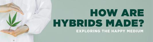Unveiling the Magic of Hybrids: Exploring the Happy Medium