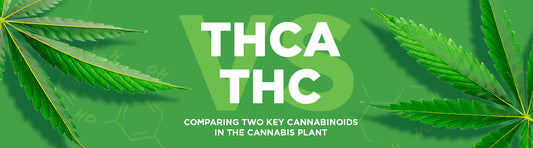 THCA vs. THC - Comparing Two Key Cannabinoids in the Cannabis Plant