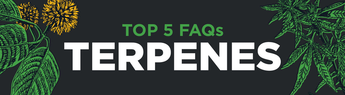 Top 5 FAQs: Terpenes