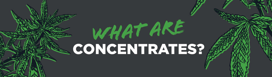 What are Concentrates?