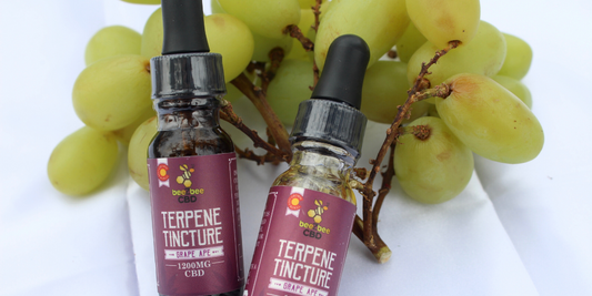 What are Terpenes and What Do They Do?