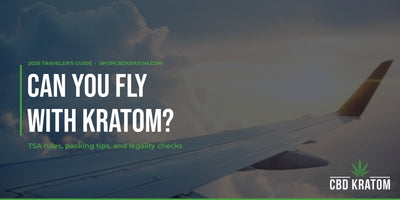 Can You Fly with Kratom? TSA Rules & Travel Guide (2026) - Shop CBD Kratom