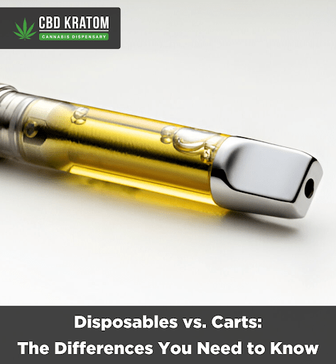 Carts vs. Disposables: The Differences You Need to Know - Shop CBD Kratom