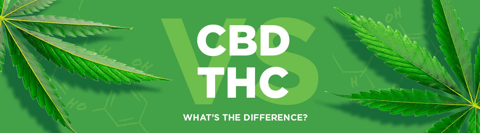 CBD vs. THC: What’s the Difference? - Shop CBD Kratom