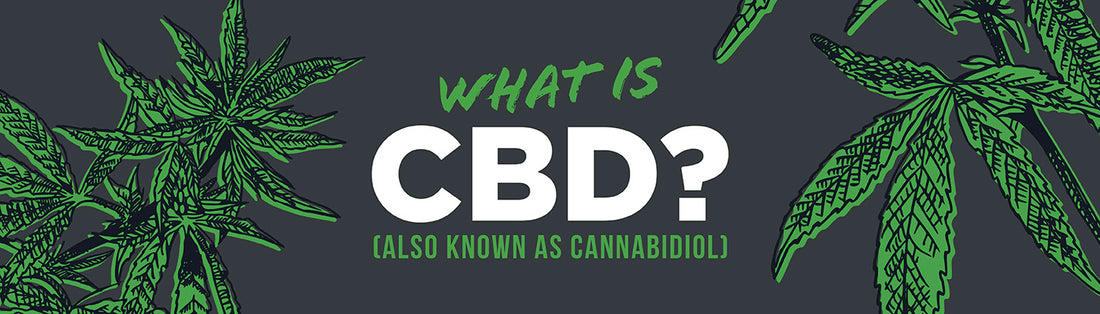 What Is CBD? (also known as cannabidiol)