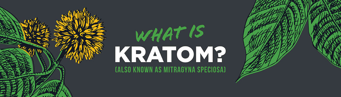 What Is Kratom