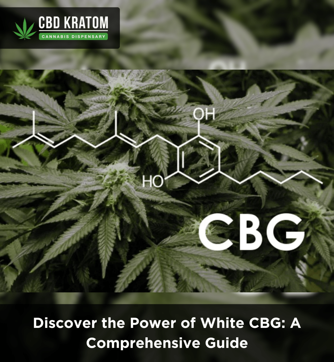 Discover the Power of White CBG: A Comprehensive Guide - Shop CBD Kratom