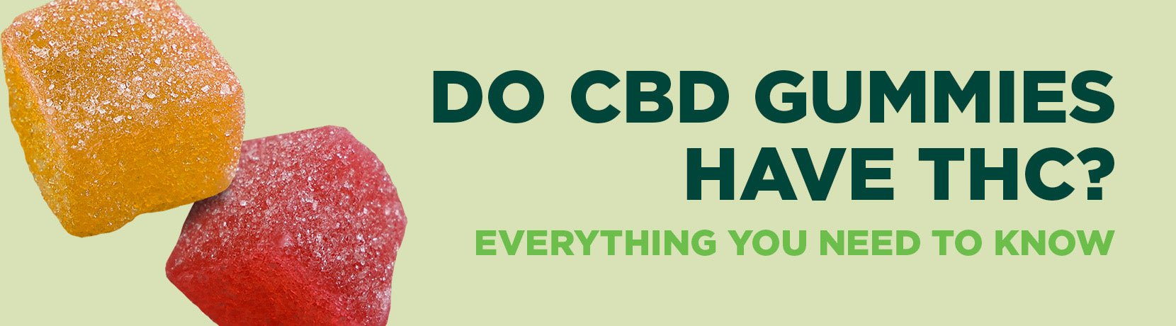 Do CBD Gummies Have THC: Everything You Need to Know - Shop CBD Kratom