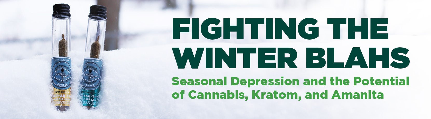 Fighting the Winter Blahs: Seasonal Depression and the Potential of Cannabis, Kratom, and Amanita - Shop CBD Kratom
