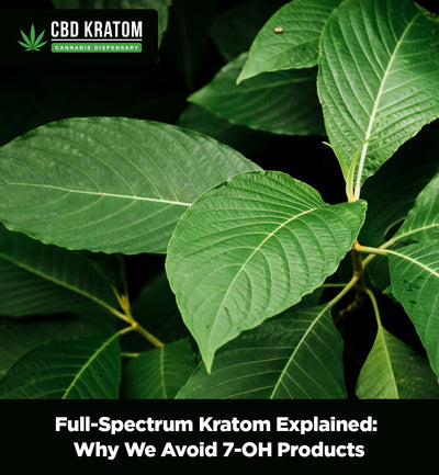 Full-Spectrum Kratom Explained: Why We Avoid 7-OH Products - Shop CBD Kratom