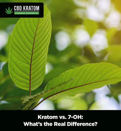 Kratom vs. 7-OH: What’s the Real Difference? - Shop CBD Kratom
