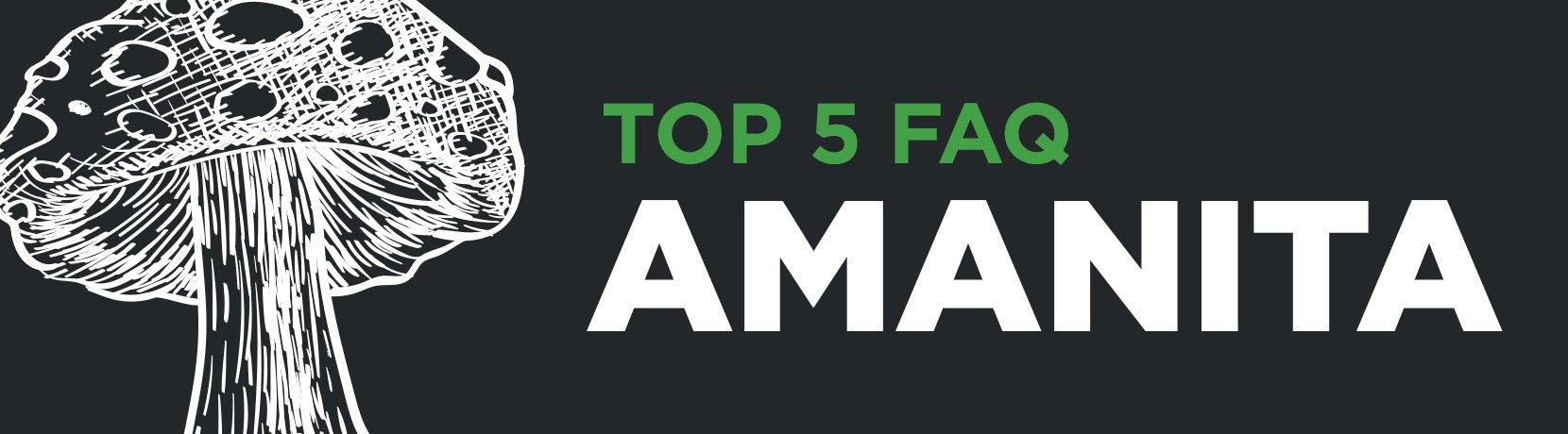 Top 5 FAQs for Amanita Muscaria - Shop CBD Kratom