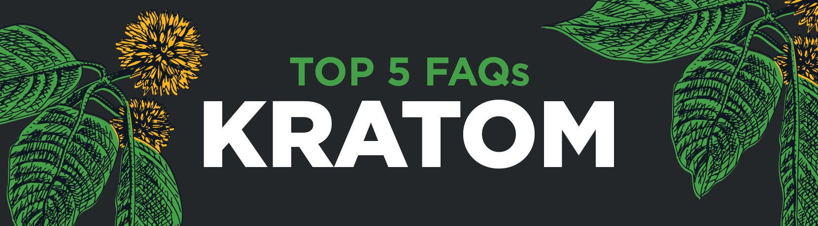 Top 5 FAQs- Kratom - Shop CBD Kratom