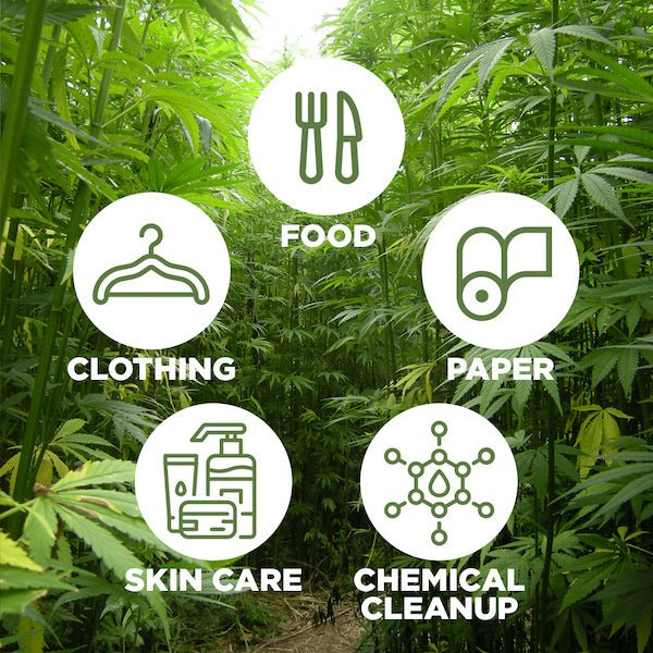 Top Uses for Hemp  - Shop CBD Kratom