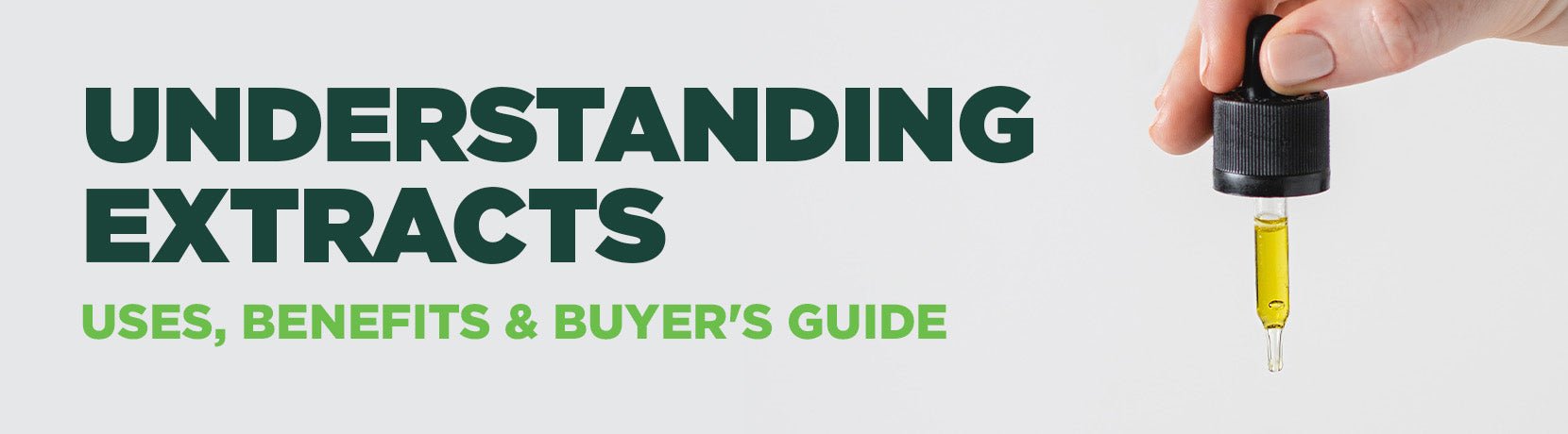 Understanding Extracts: Uses, Benefits, and Buyer's Guide - Shop CBD Kratom