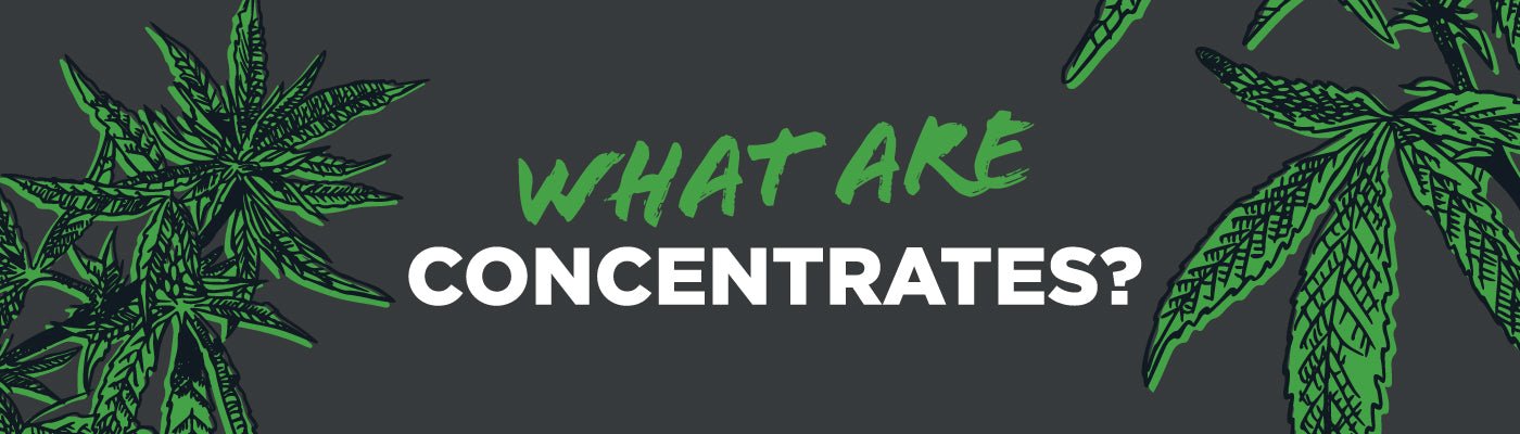What are Concentrates? - Shop CBD Kratom
