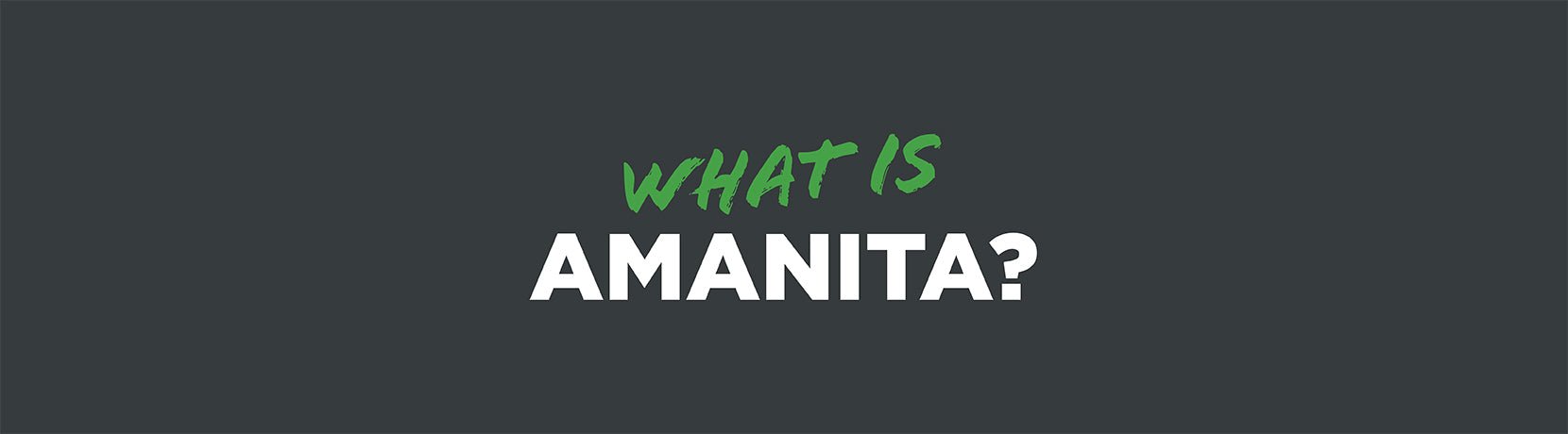 What is Amanita? - Shop CBD Kratom