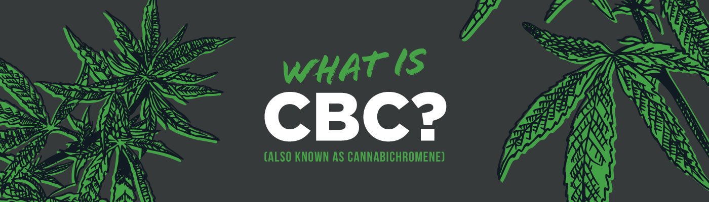 What Is CBC? - Shop CBD Kratom