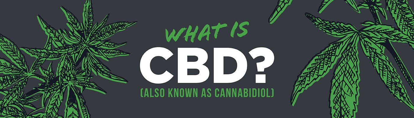 What Is CBD? - Shop CBD Kratom