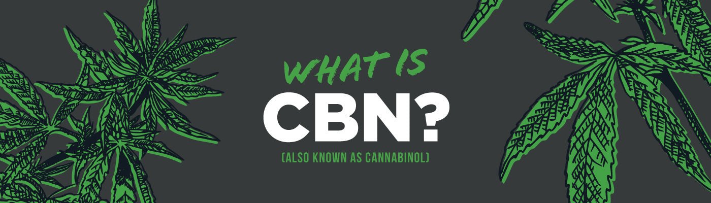 What is CBN? - Shop CBD Kratom