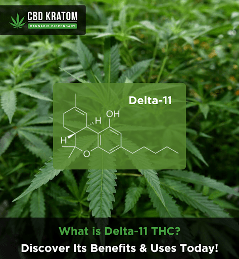 What is Delta-11 THC? Discover Its Benefits & Uses Today! - Shop CBD Kratom