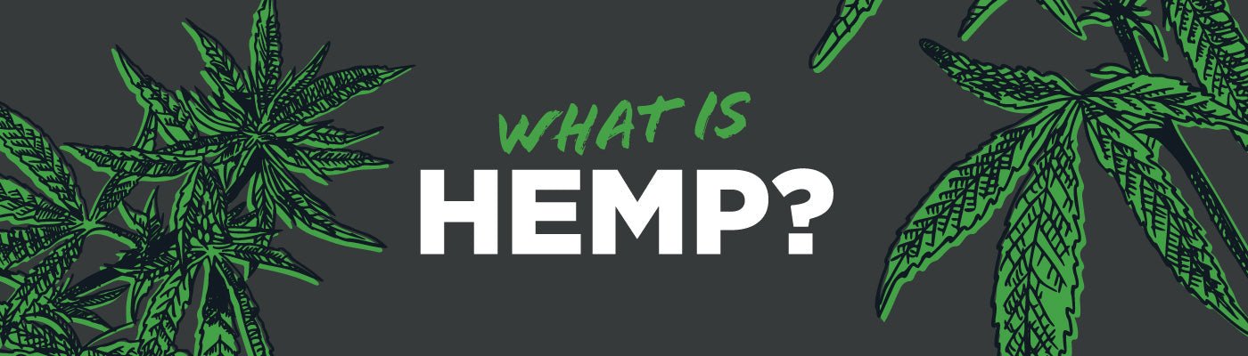 What Is Hemp? - Shop CBD Kratom