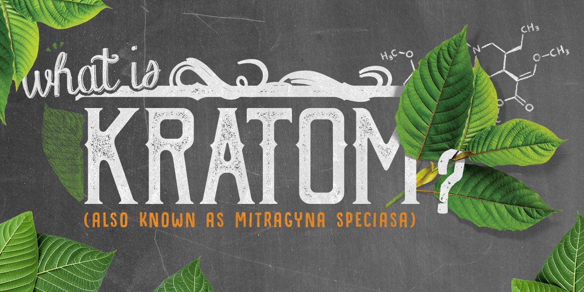 What is Kratom? - Shop CBD Kratom