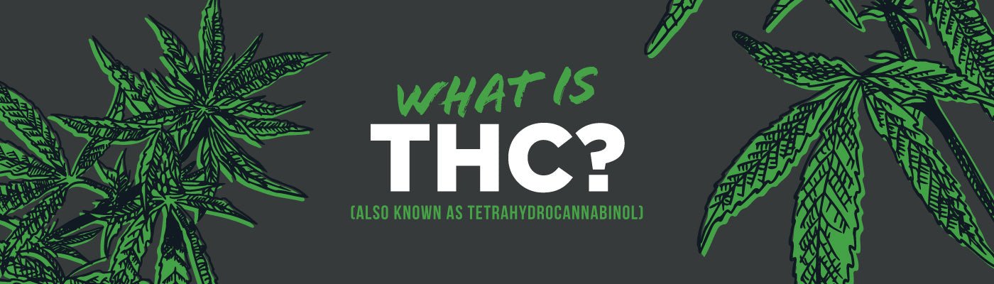 What is THC? - Shop CBD Kratom