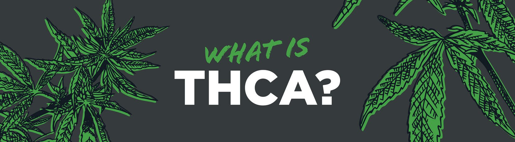 What is THCA? - Shop CBD Kratom