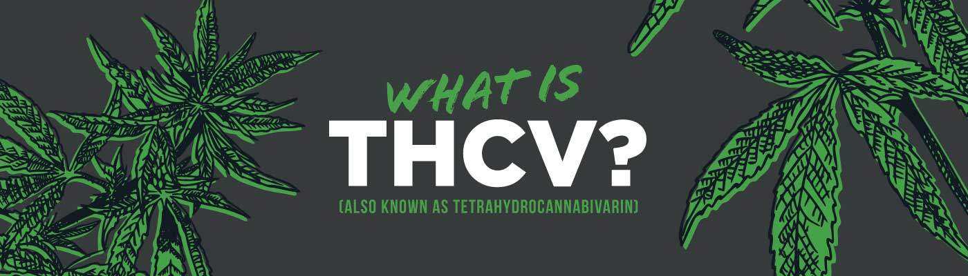 What is THCv? - Shop CBD Kratom
