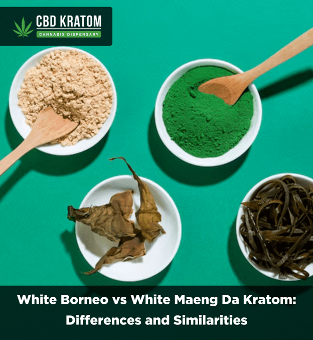 White Borneo vs White Maeng Da Kratom - Shop CBD Kratom