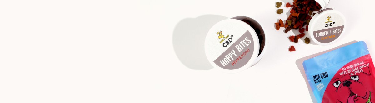 CBD for Pets