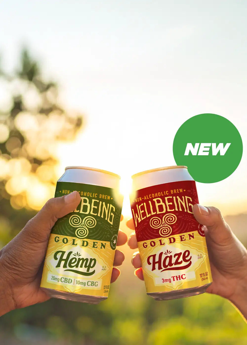WellBeing Brewing Golden Hemp 20mg CBD + 10mg CBG Brew, and Golden Haze 3mg THC Brew | Shop CBD Kratom

Mobile Image