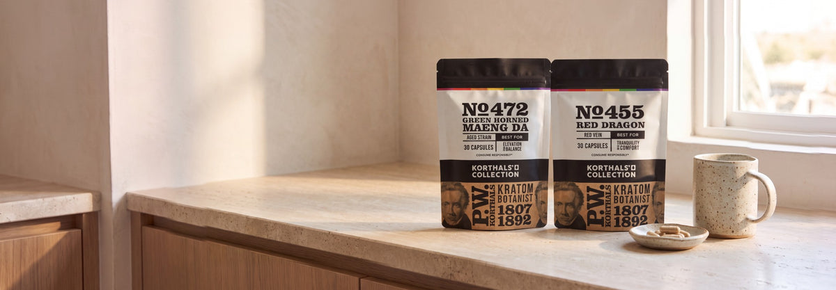 Korthals' Collection kratom capsule pouches on a sunlit counter