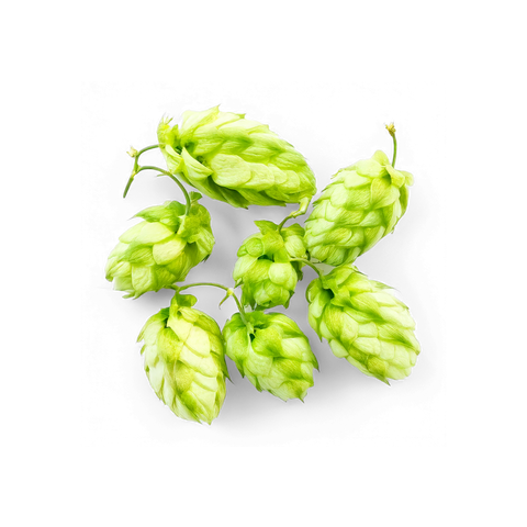 Hops Oil Blend