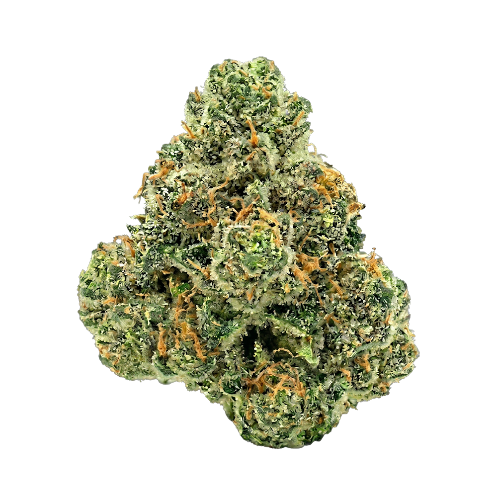 Song Ryder THCA Flower